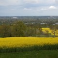 Viewpoint-Brenchley-JanetOC