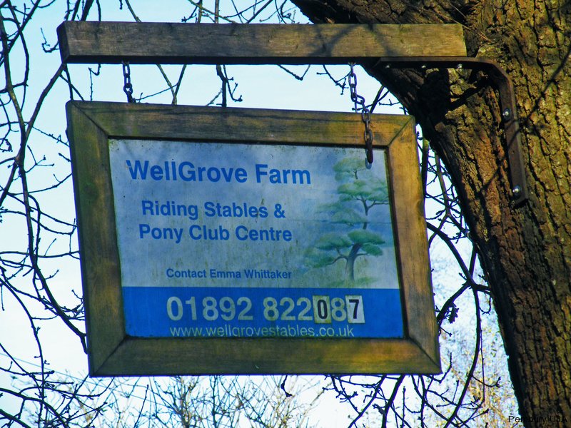 Kings Toll Road, Wellgrove Farm Riding Stables